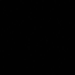 Meet your Posher, Steph